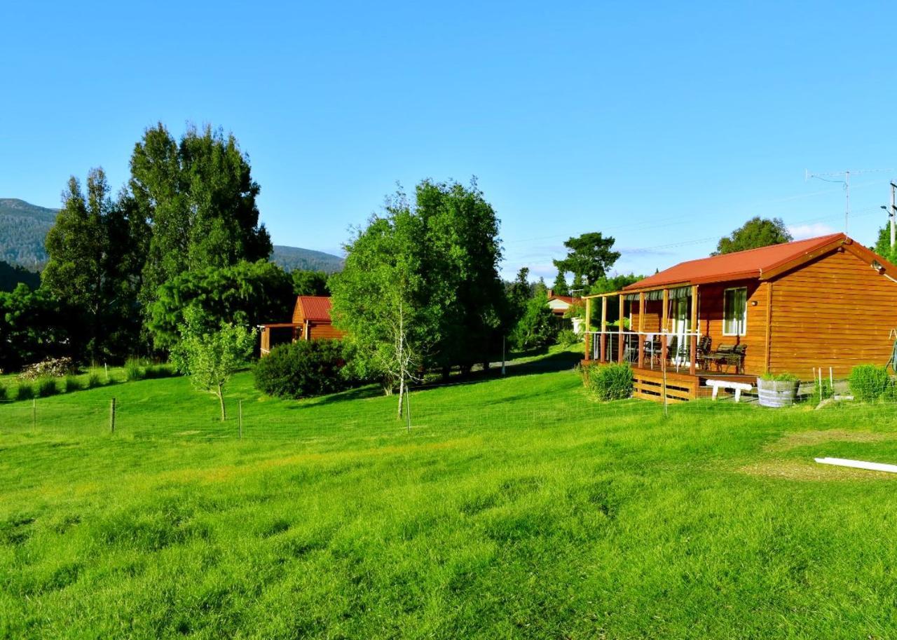 Lodge Mountain *